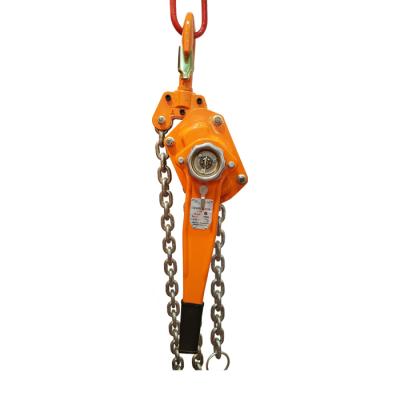 China construction hoist construction chain winch/fall chain hoist/manual chain hoist for sale