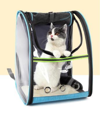 China Sustainable Portable Folding Pet Carrier Pet Backpack In PVC Material for sale