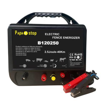 China High Effenicy Tongher Easily Assembled Waterproof Electric Barrier 12v Energizer for sale