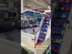 Tomato sauce counting packing machine