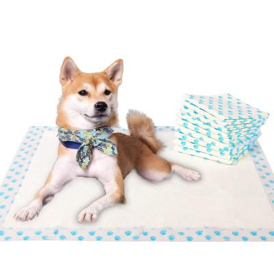 China Family Customized Eco Friendly Disposable Absorbent Pet Pads for sale