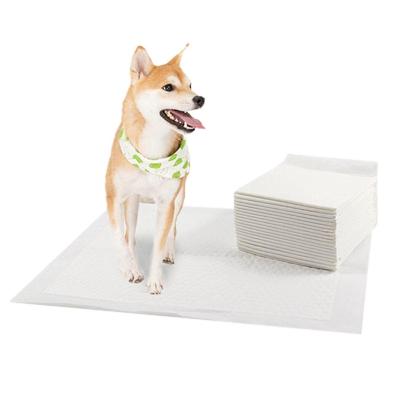 China Warm Disposable Puppy Toilet Pads High Selling Non-Woven Fabric Nonwoven Fabric Pet Supply Absorbency Pet Supply Dog Diaper for sale