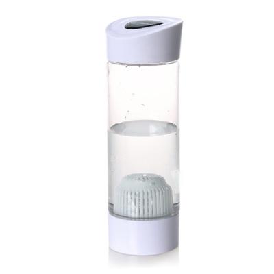 China Hotel customized 550ml water purifier bottle water filter bottle camping for travel and official for sale