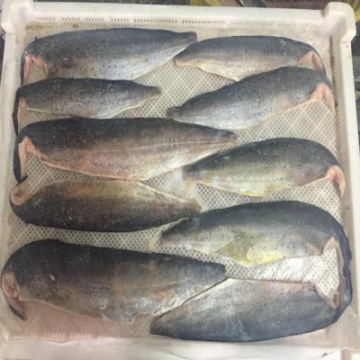 China good price seafood fish 300-500g frozen big size pacific mackerel raw material block in stock for sale