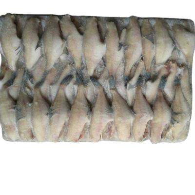 中国 Frozen Leather Jacket Fish Fillet Frozen Tuna Fish OEM 200-300g Sachet Packaging 販売のため