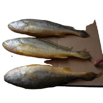 中国 Ship Frozen Small Yellow Croaker Fish For Sale OEM 10kg/box FROZEN Style 販売のため