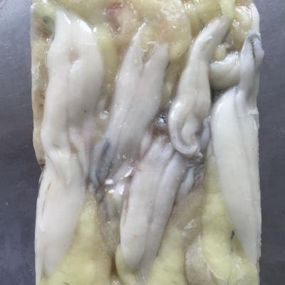 China factory direct Frozen giant whole round frozen organ argentinus illex squid roe raw material block in stock zu verkaufen