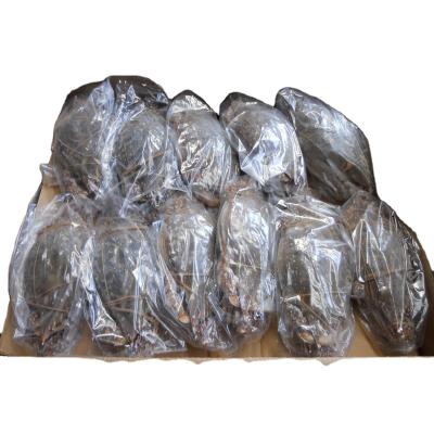 Κίνα natural Fresh cut ghost crab Frozen Blue Swimming Crab raw material block in stock προς πώληση