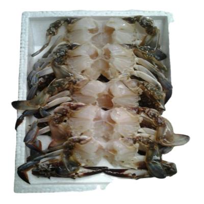 Κίνα whole round Fresh cut crab Frozen Blue Swimming Crab raw material block in stock προς πώληση