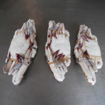 Κίνα hot selling big size many other species exports crab Frozen Blue Swimming Crab raw material block in stock προς πώληση