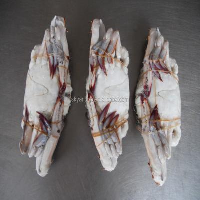 Κίνα healthy BLUE CRAB Sales Price frozen Frozen cut ghost crab raw material block in stock προς πώληση