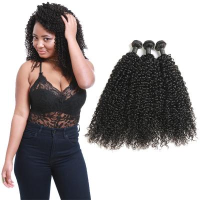 Chine Les cheveux bouclés de Vierge noire naturelle empaquettent/cheveux bouclés d'armure 3 paquets à vendre