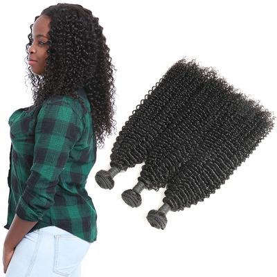 China Classifique extensões perversos do cabelo encaracolado de Remy do bebê 9A 3 pacotes de cabelo humano cru à venda