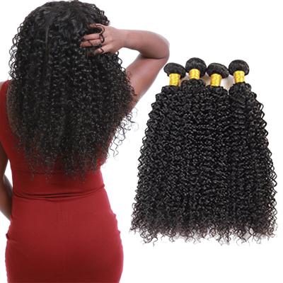 Chine paquets sains de cheveux bouclés de la Vierge 8A, prolongements frisés de cheveux bouclés à vendre