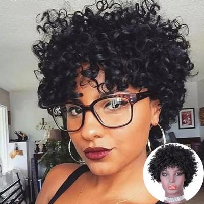 China Wholesale Afro Curly Pixie Cut Jerry Curly Short Curl Hair Wig, Indian Remy Hair Vendor For Black Curly Natural Women for sale