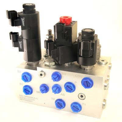 Cina OEM idraulica Solenoide Valve Bank con gruppo di valvole parallele manifold in vendita