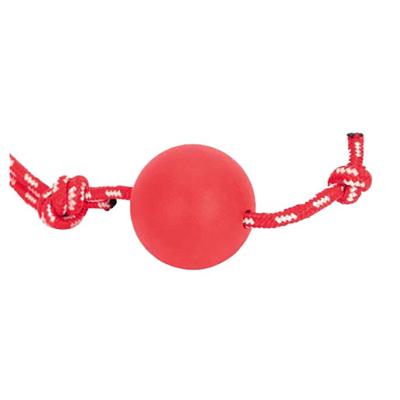 China Viable Wholesale Interactive Ball Dog And Cat Training Toy Ball for sale