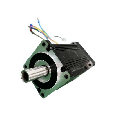 China Totally Enclosed Motor 48v Low Noise Hollow Shaft 100w 2500rpm DC Brushless Motor Apply To Blender for sale