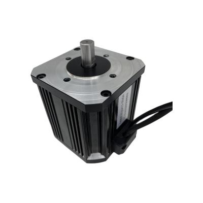 China Hot Sale Totally Enclosed Micro DC 12v Brushless Motor 150 Watt Permanent Magnet Motor for sale