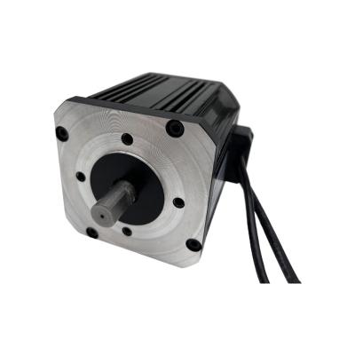 China Hot sale totally enclosed micro dc-motor 12v 150w brushless permanent magnet motor for sale