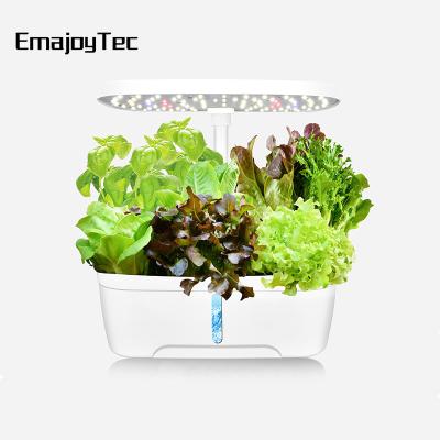 China Minimalist Exquisite Workmanship Indoor Garden Flower Pot Mini Garden Kit Hydroponic Smart Indoor Smart Home With Pump for sale