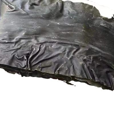 China Pure natural, unpolluted dried, sunlight, light, dry kelp, Khumbu, endless and tailless for sale