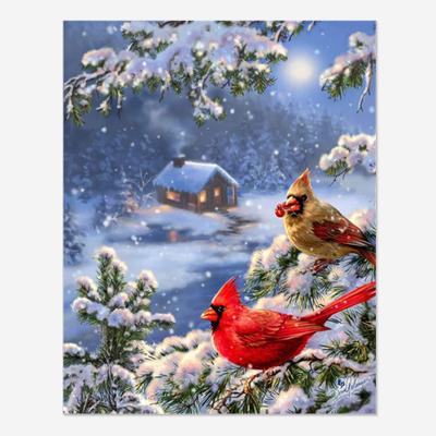 China Full Drill 5D Diamond Painting DIY Cross Stitch Kit Bird Hut Snow Scene Environmental Friendly Diamond Painting Rhinestone Home Decor for sale