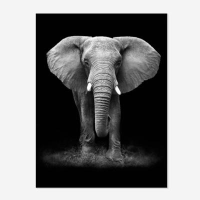 China Environmental Friendly DIY Gifts Picture Male Elephant Animal 5D Full Drill Square/Around Diamond Painting Home Decor Wholesale for sale