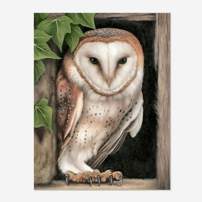 China Environmental Friendly OEM/ODM Customized Full Drill Mosaic 5D Cross Stitch Embroidery Kits DIY Gift Diamond Painting Owl Animal Bird for sale