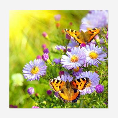 China Full Drill Diamond Painting 5D Picture Flower Factory Butterfly Embroidery Home Wall Decor OEM/ODM Wholesale Environmental Friendly for sale