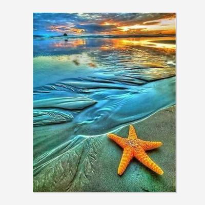 China Wholesale Square/Round 5D Diamond Painting Christmas DIY Gifts Square/Round Starfish Seascape Sunset Glow Picture Factory Decor Factory Environmentally Friendly Wall Mural for sale