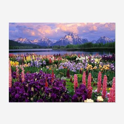 China Wholesale Full Square/Round 5D Diamond Painting Christmas Gifts Mountain Grass Flowers Landscape Picture Environmental Friendly Home Decor Mural for sale