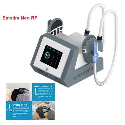 China Weight Loss 2 Handle Neo RF Slim Beauty 10 Pro Max Body Sculpt Slimming Machine Tesla Hiemt Portable Stimulation Hiemt EMS for sale