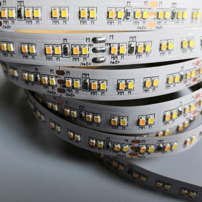 China Residential/Commercial Dual-Color SMD 2216 High CRI Flexible LED Light Strip 240 Lights Dimming Color Temperature IP20 IP67 2700K 6500K for sale