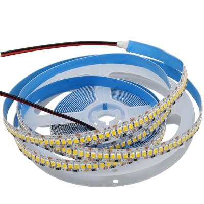 China LANDSCAPE LED Strip Lamp 2835 No Spot 240 LED 12V 24v Flexible Low Voltage Lamp High-Brightness 20W Light for sale