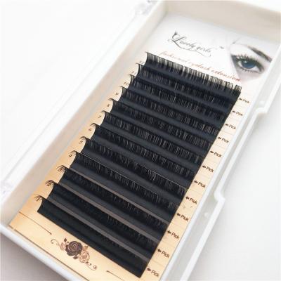 China Factory wholesale natural soft bright round wool accessories direct extension eyelashes 0.05 long for sale