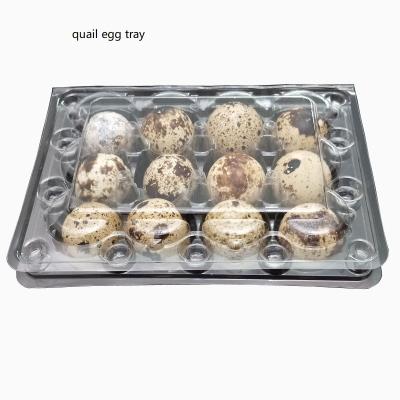 China Plastic Transparent Quail Egg Tray 12 Whole Holes Supermarket Sale Coupons Prices for sale