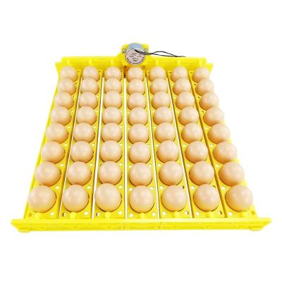 China Farms Directly Sales 56 Holes Plastic Multifunction Egg Incubator Tray for sale