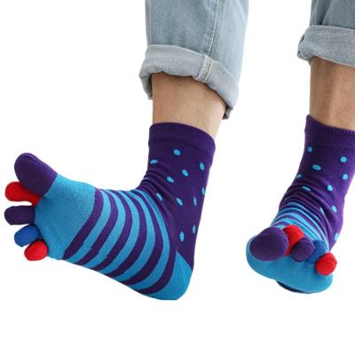 China Breathable New Product Hot Service Selling Protector Fingers 5 Toe Socks for sale