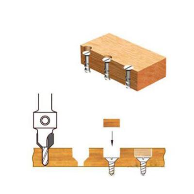 China Cutting For HSS Tungsten Carbide Wood Drilling Milling Cutter Wood Drill Bit for sale