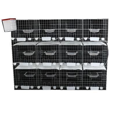 China High quality easily clean low price racing pigeon cage for sale for sale