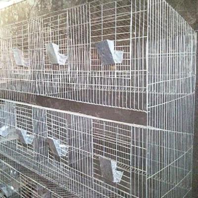 China Easily Clean Poultry Farm Galvanized Collapsible Layer Pigeon Cage for sale