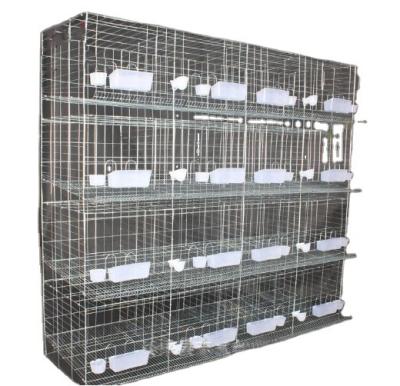 China Easily Clean High Quality Galvanized Layer Pigeon Cages Poultry Cages for sale