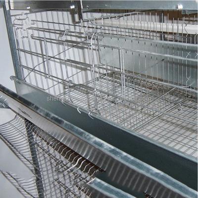 China Easily Clean Chicken Farm Broiler Battery Cage For Growing Broiler for sale