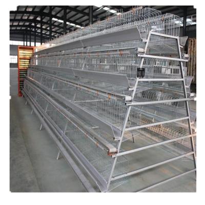 China Install easily and convinient for hot sale egg collection baby chicken cage for farm for sale