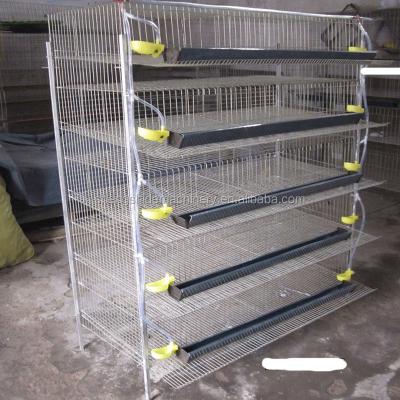 China Install easily and convinient for egg collection layer quail cages for south africa, plastic quail cage farm equipment for sale