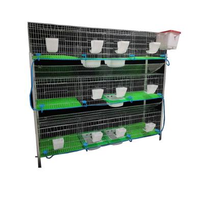 China Install easily and convinient for egg collection hot sale industrial rabbit cages price for sale