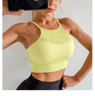 China High quality QUICK DRY solid color seamless mesh women's plus size sports bra for sale