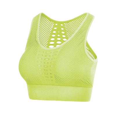 China New Style Ladies Gym Workout Camisole Women Breathable Top Shock Proof Running Yoga Sports Bra for sale