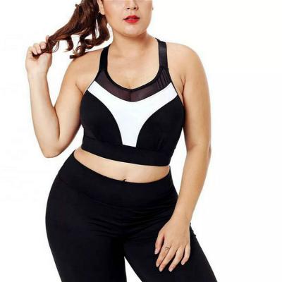 China Yoga bra and leggings set black gym activewear women's fitness wear private label anti-static women plus size activewear for sale